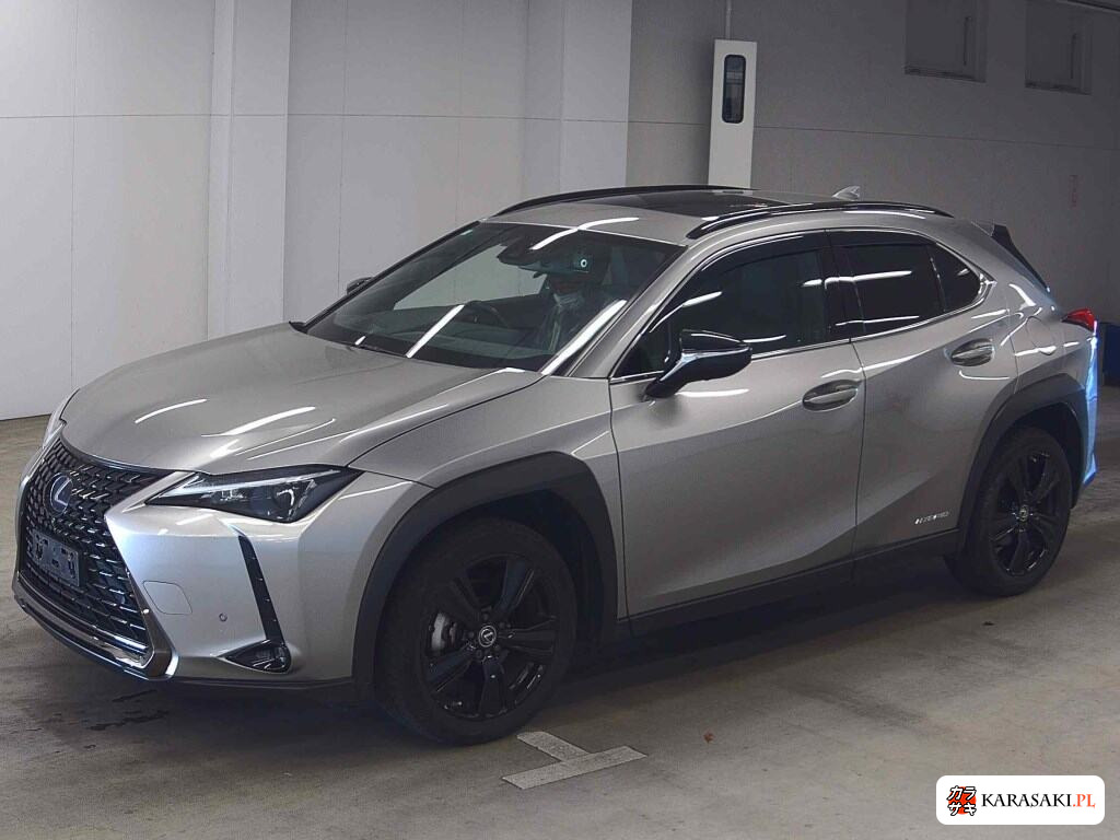 2021 Lexus Ux UX250H Urban Elegance 3