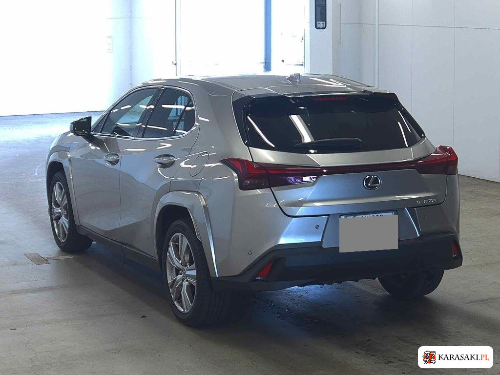 2023 Lexus Ux UX250H Graceful Explorer 2