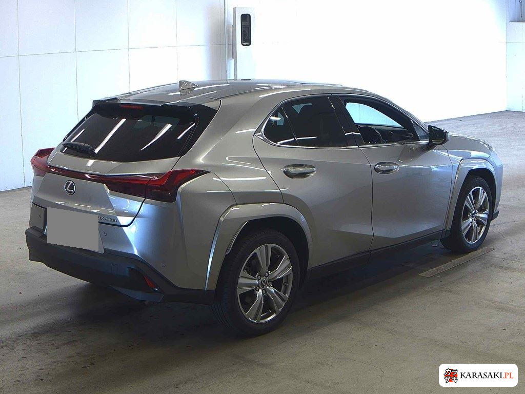 2023 Lexus Ux UX250H Graceful Explorer 4