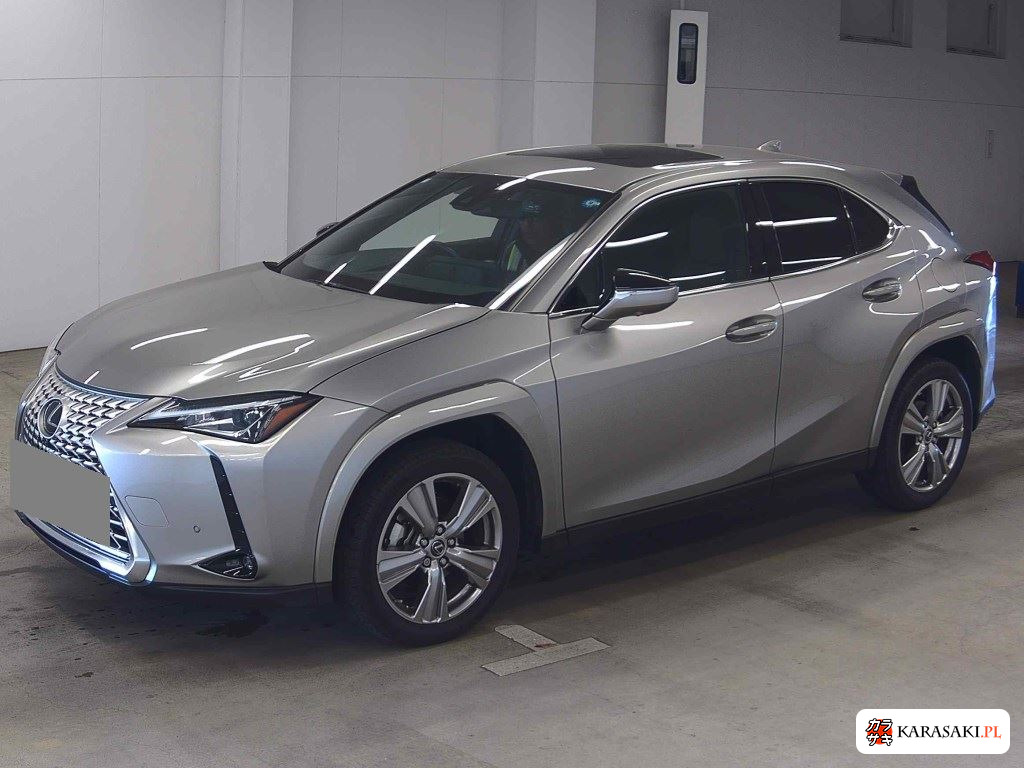 2023 Lexus Ux UX250H Graceful Explorer 3