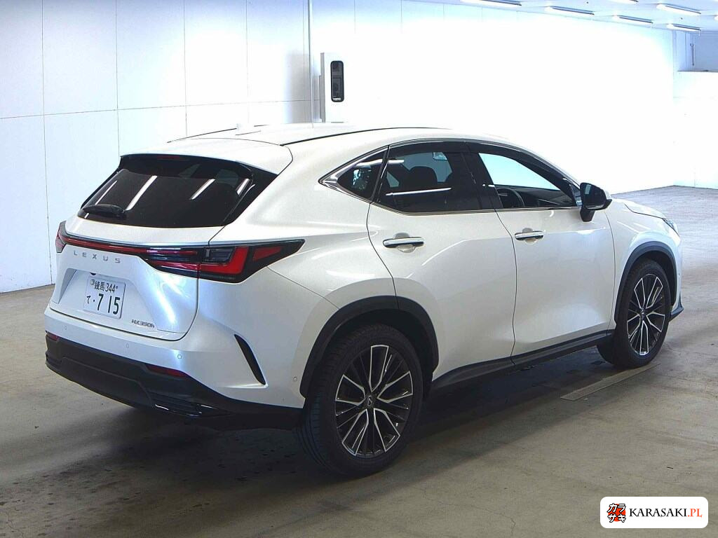 Lexus NX 2023 z aukcji japońskiej