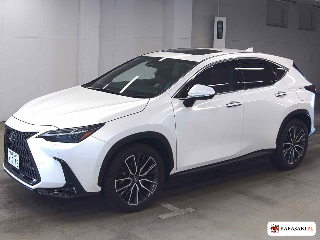 Lexus NX 2023 z aukcji japońskiej