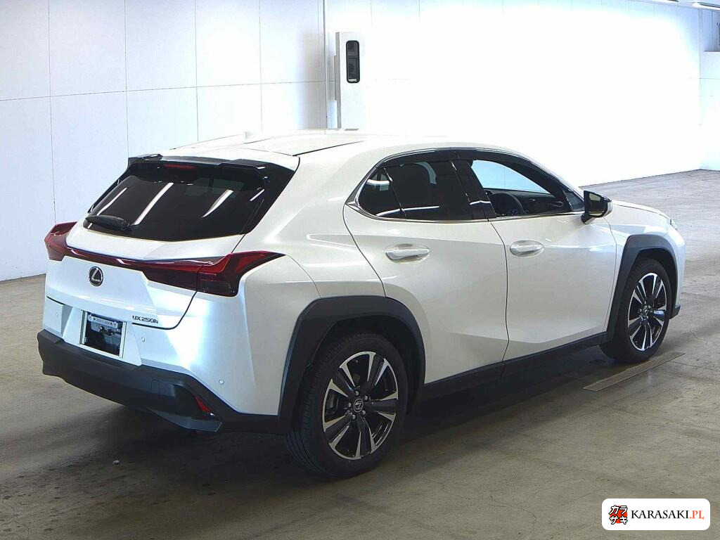 Lexus Ux 2023 z aukcji japońskiej