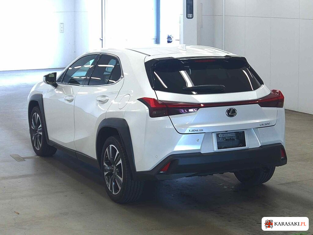 Lexus Ux 2022 z aukcji japońskiej