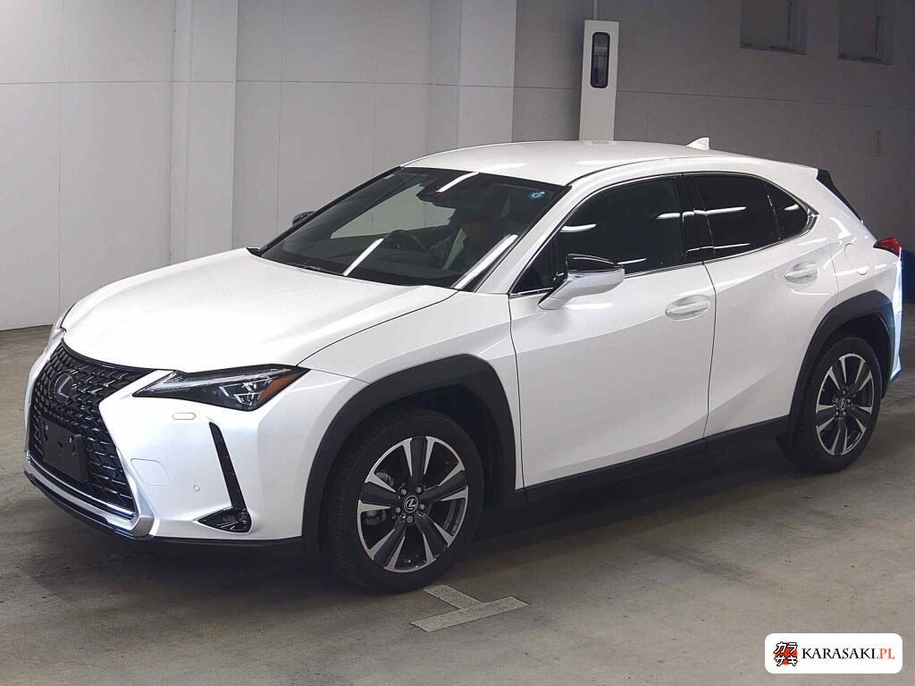 Lexus Ux 2022 z aukcji japońskiej