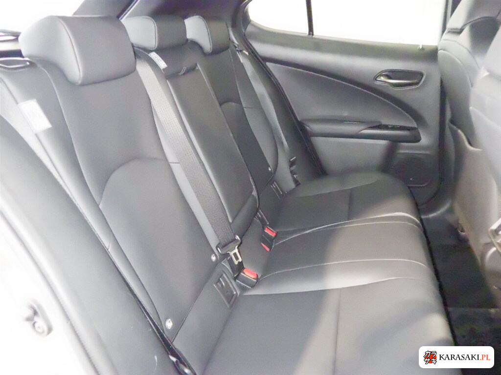 Lexus Ux 2020 z aukcji japońskiej