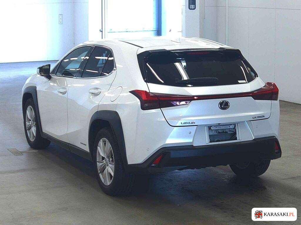 Lexus Ux 2019 z aukcji japońskiej