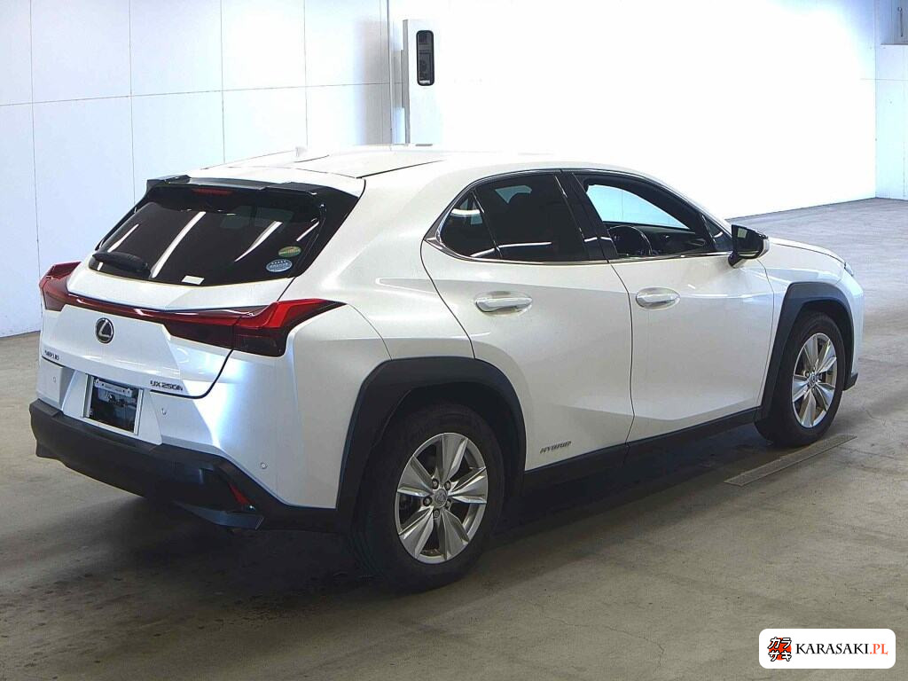 Lexus Ux 2019 z aukcji japońskiej