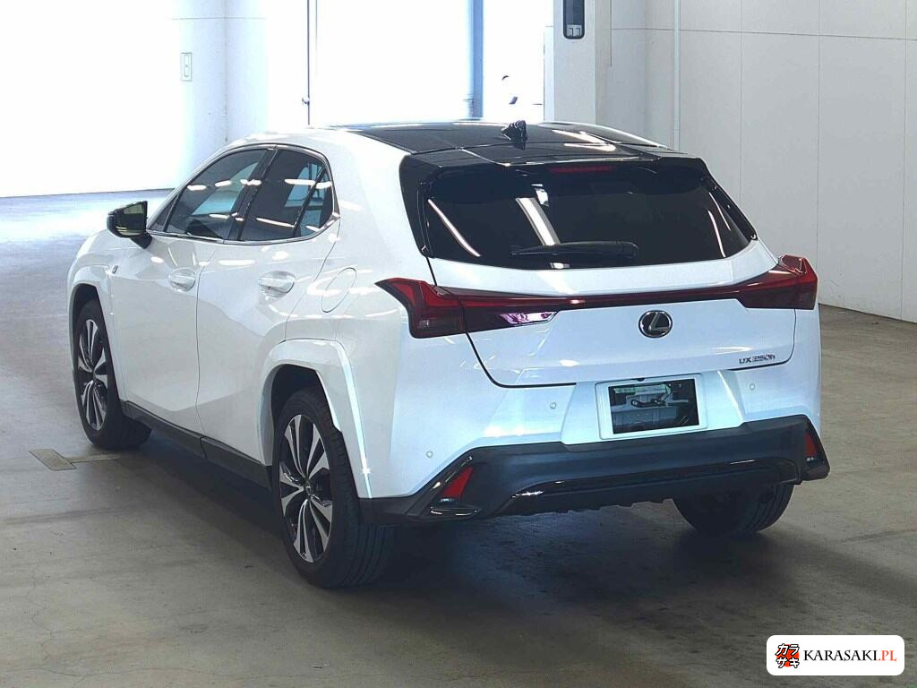 Lexus Ux 2023 z aukcji japońskiej
