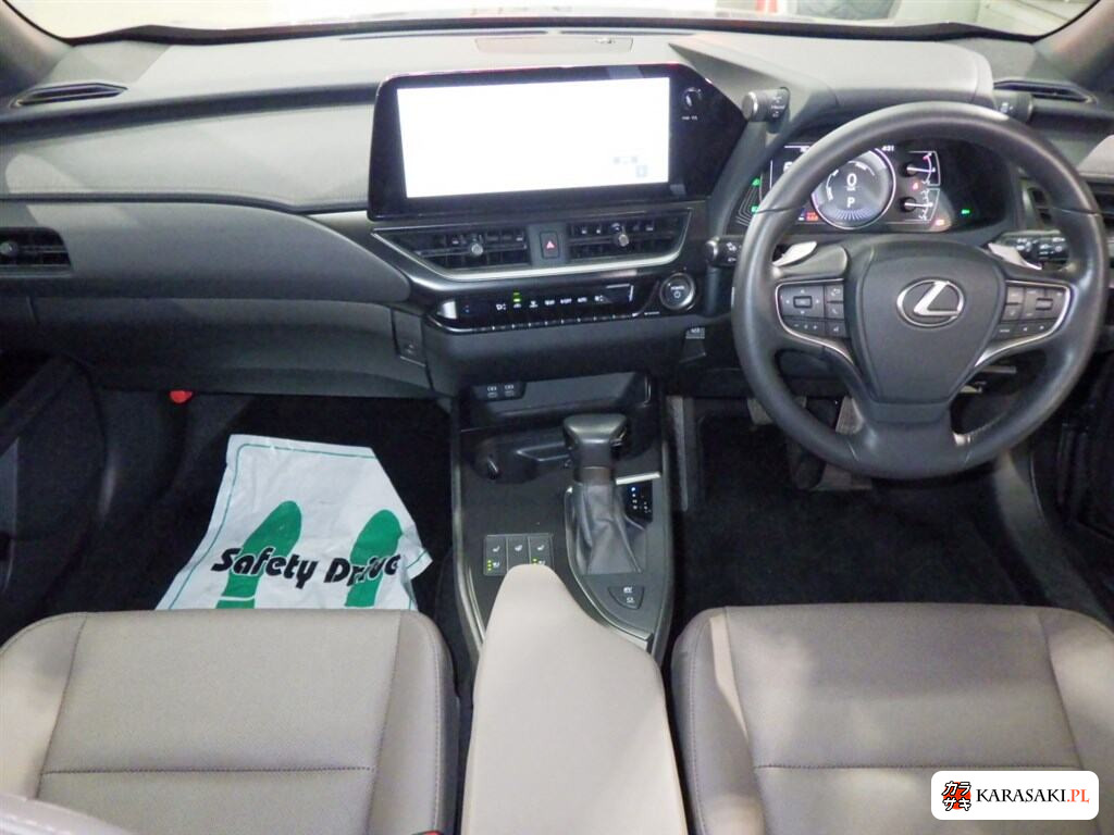 Lexus Ux 2024 z aukcji japońskiej