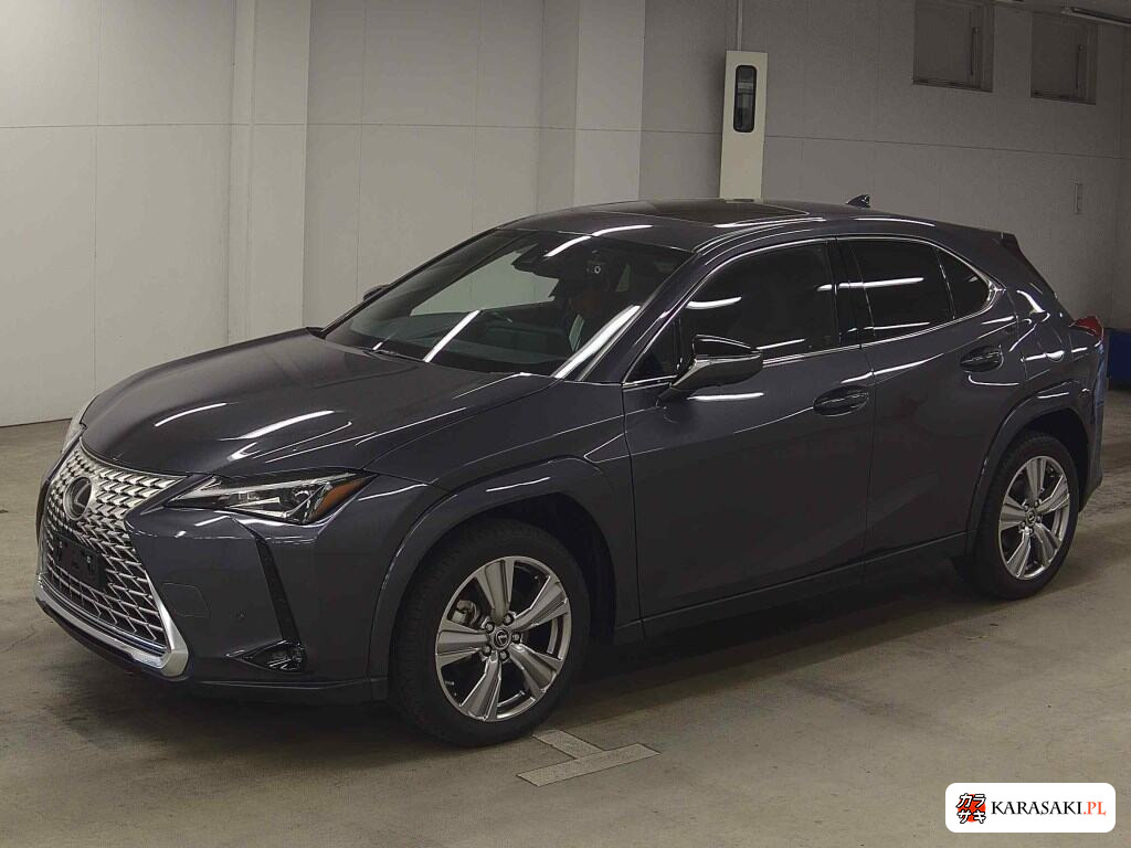 Lexus Ux 2024 z aukcji japońskiej