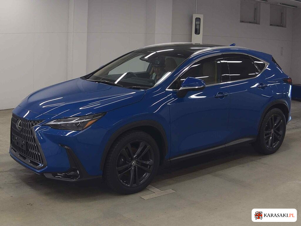 Lexus NX 2023 z aukcji japońskiej