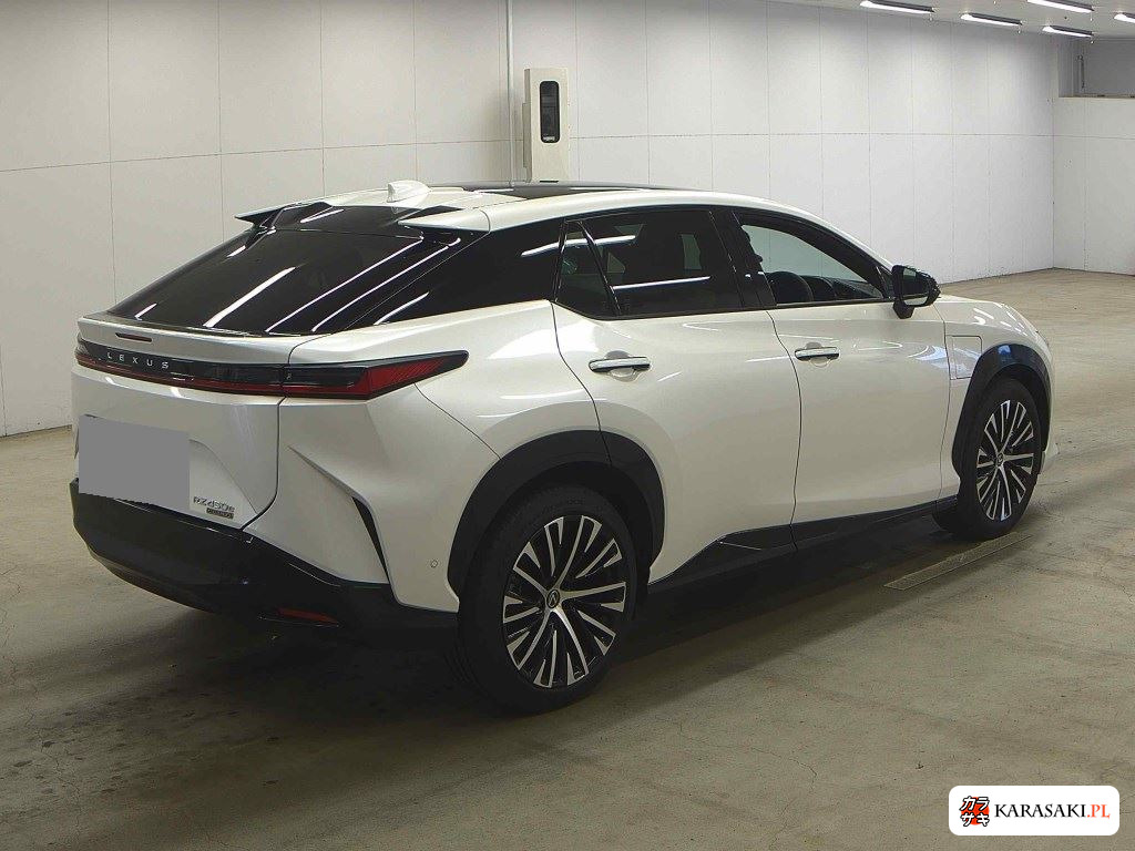 Lexus RZ 2024 z aukcji japońskiej