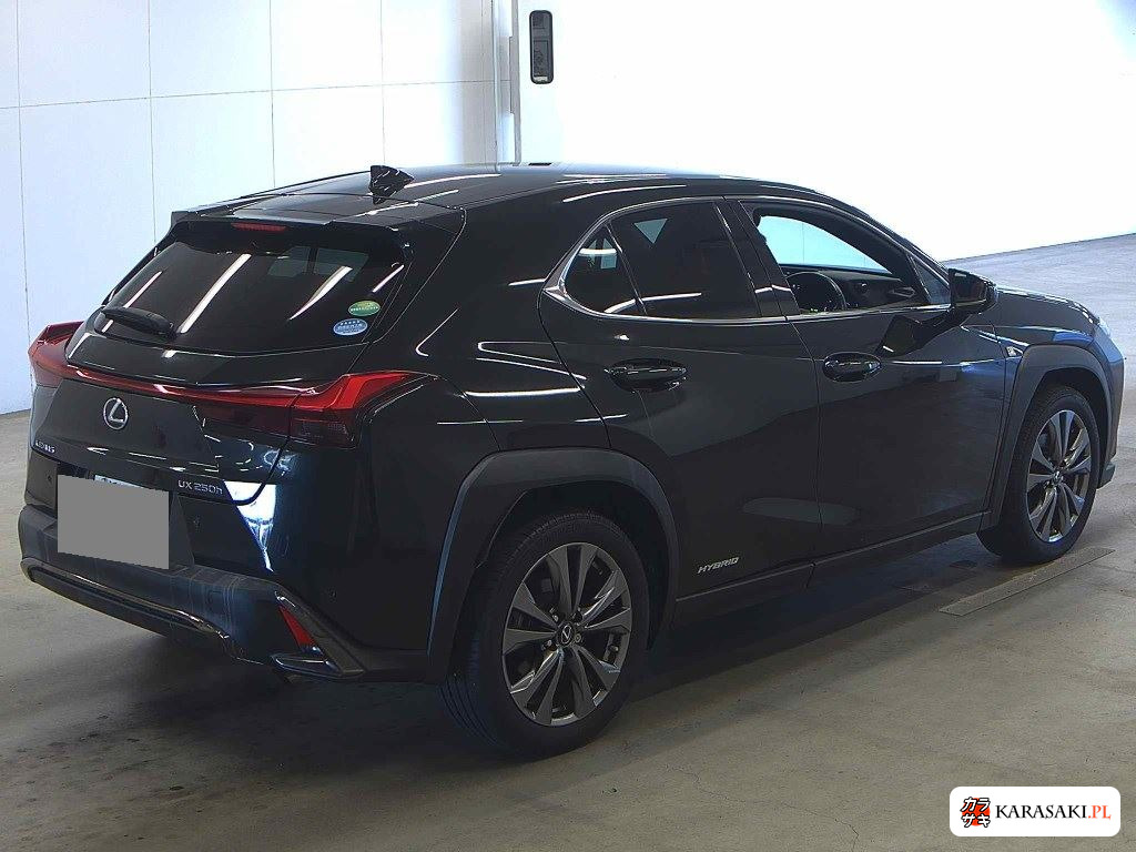 Lexus Ux 2020 z aukcji japońskiej