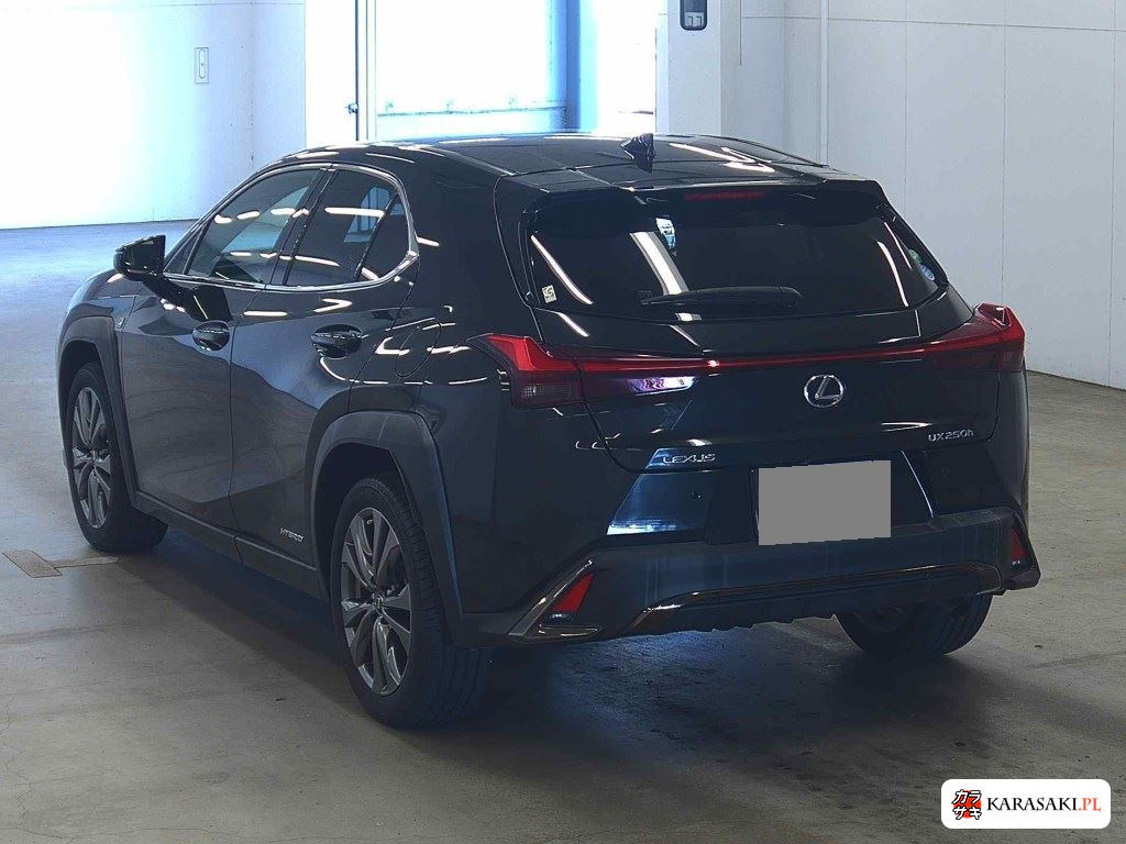 Lexus Ux 2020 z aukcji japońskiej