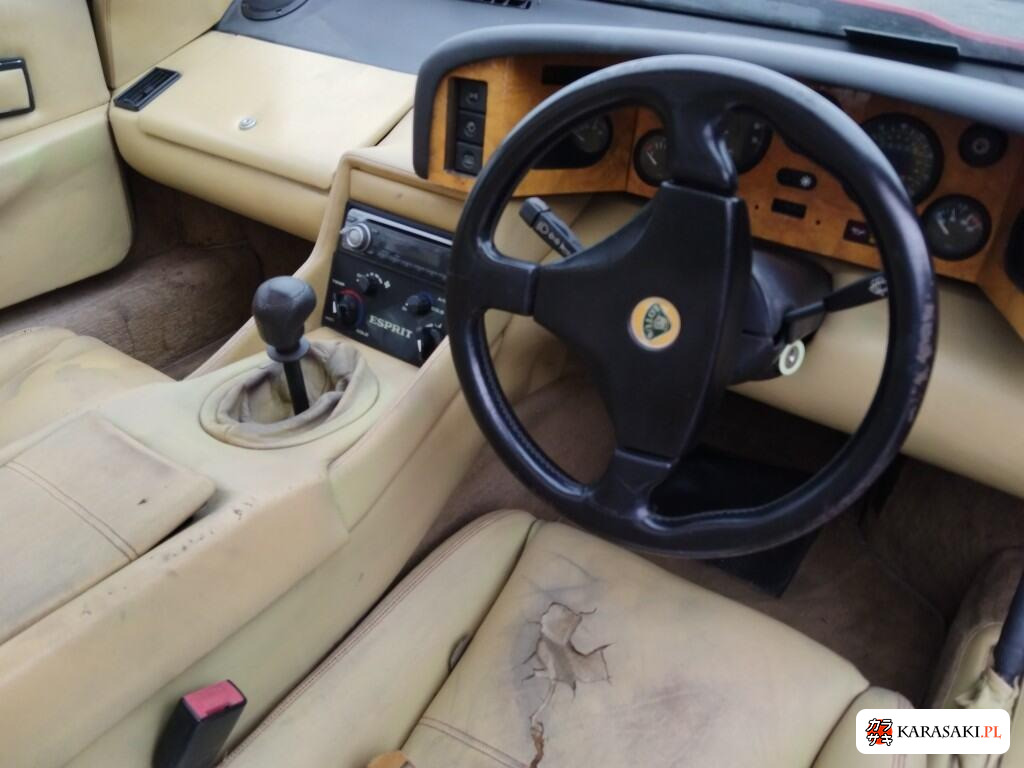 1993 Lotus 5