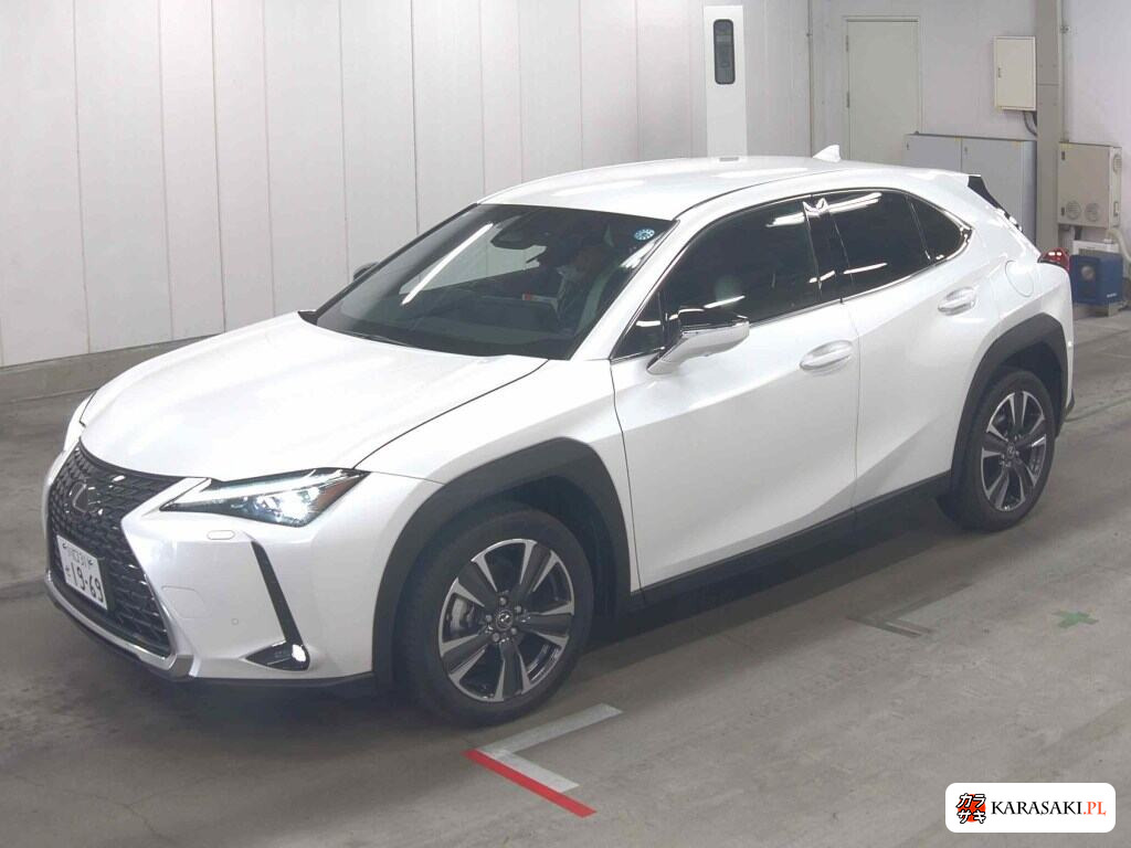 2025 Lexus Ux UX300H Version L 3