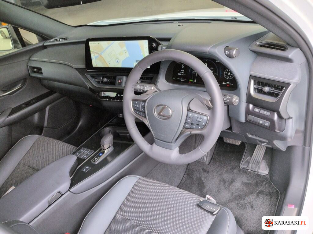 2025 Lexus Ux UX300H Version L 5
