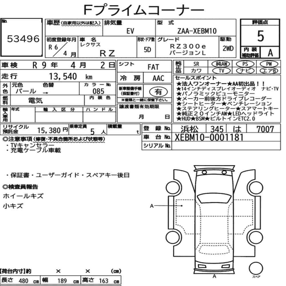 Arkusz aukcyjny — 2024 Lexus RZ RZ300E Version L