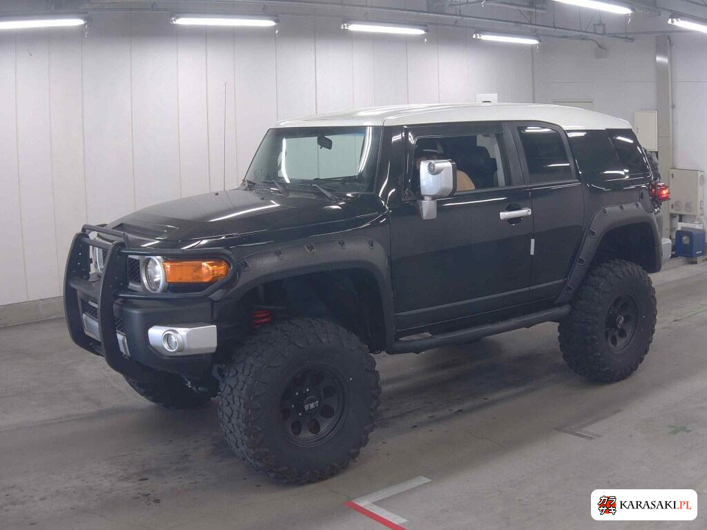 2009 America Toyota FJ Cruiser 4WD Base Grade 3