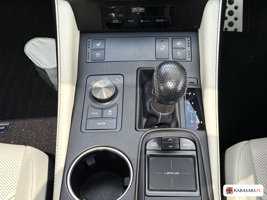 2014 Lexus RC F Base Grade 13