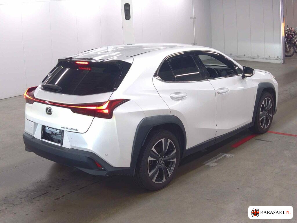 Lexus Ux 2023 z aukcji japońskiej