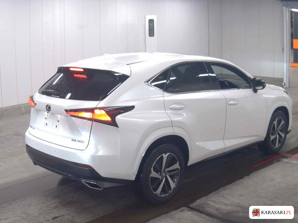 Lexus NX 2020 z aukcji japońskiej