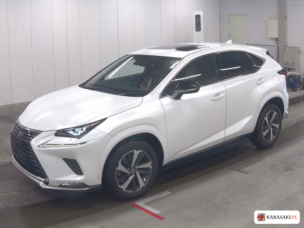 Lexus NX 2020 z aukcji japońskiej