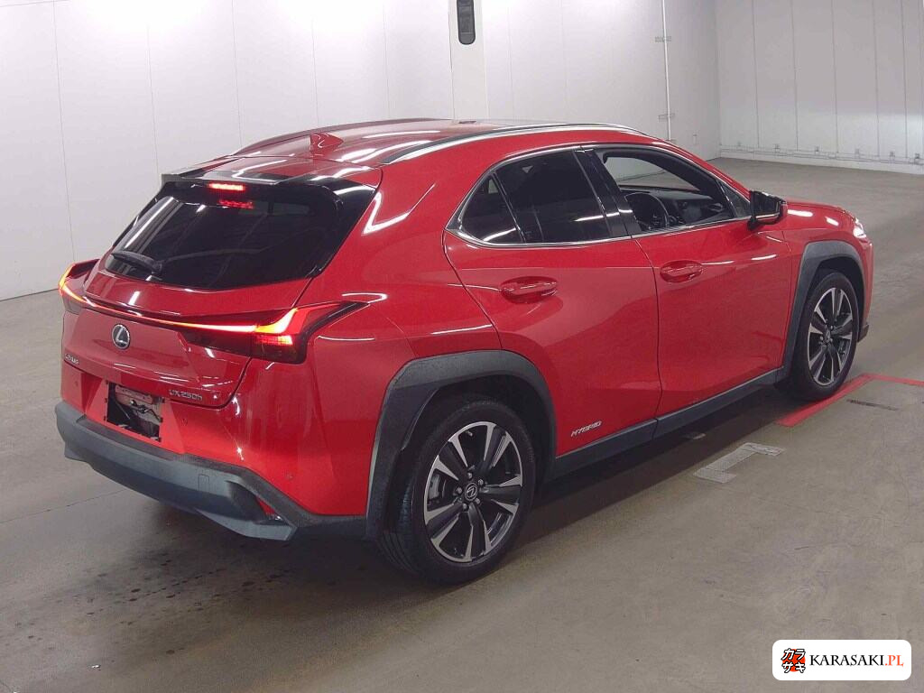 Lexus Ux 2021 z aukcji japońskiej