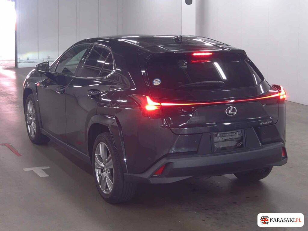 Lexus Ux 2023 z aukcji japońskiej