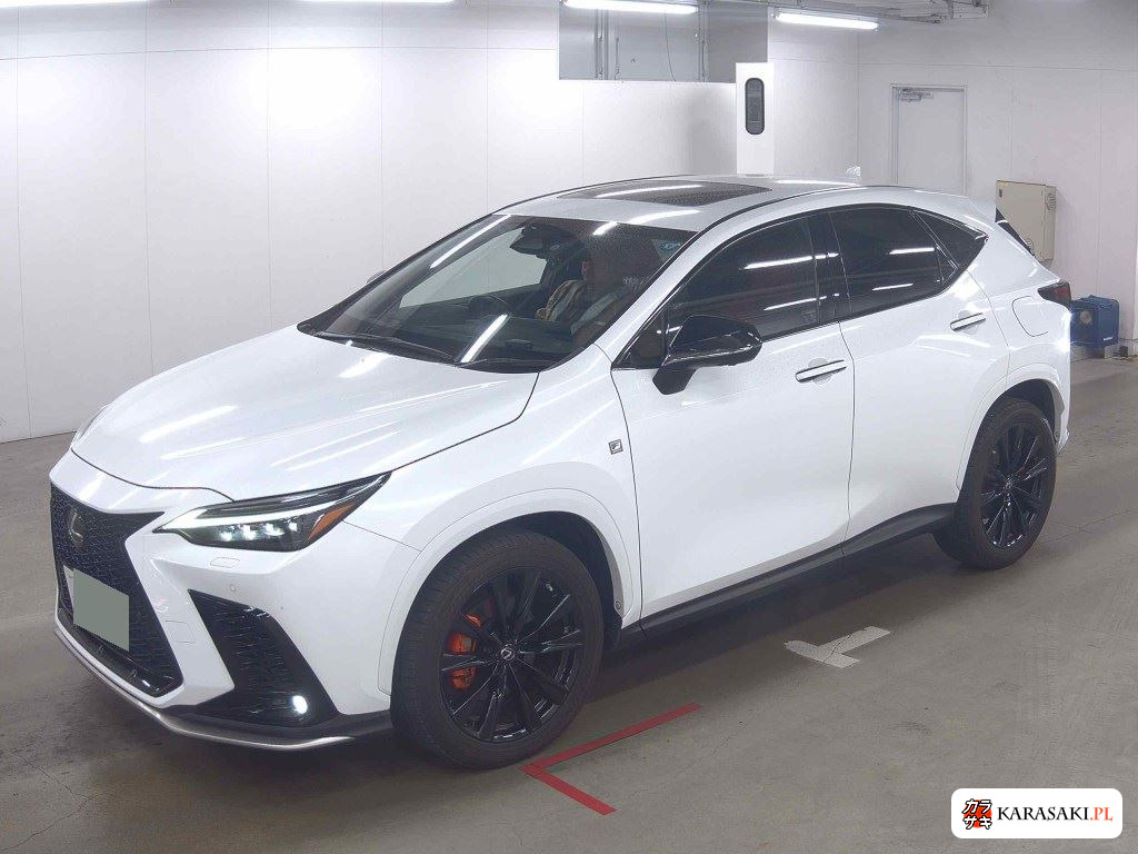 2023 Lexus NX 4WD 3
