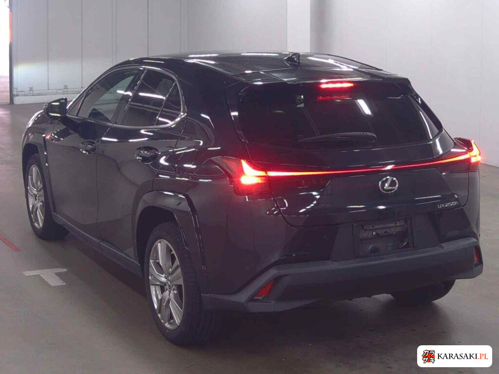 Lexus Ux 2023 z aukcji japońskiej