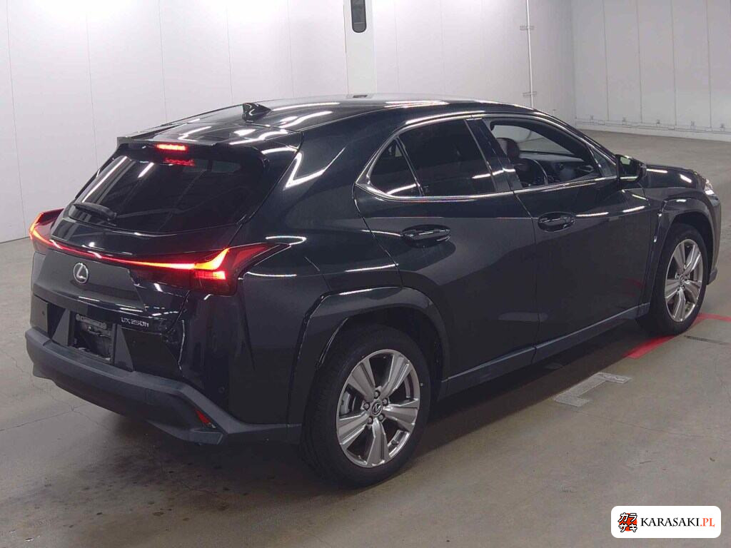Lexus Ux 2023 z aukcji japońskiej