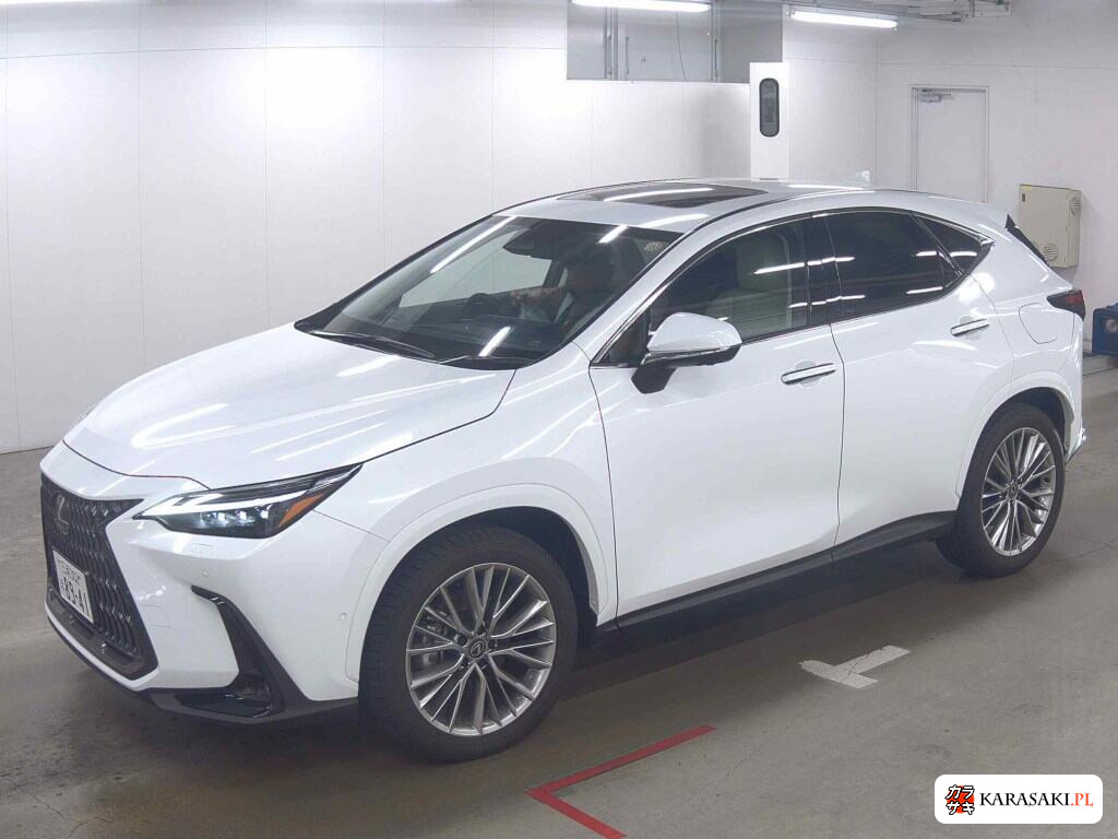 Lexus NX 2025 z aukcji japońskiej