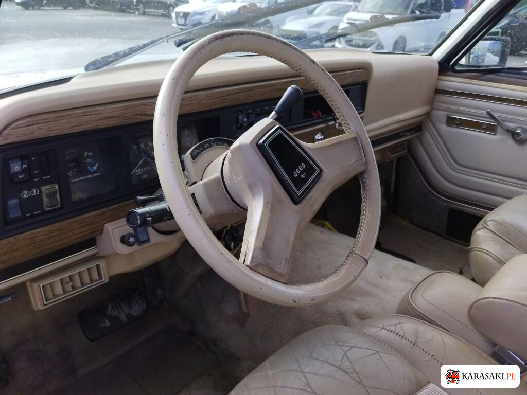 Chrysler Jeep Jeep Grand Wagoneer 2004 z aukcji japońskiej