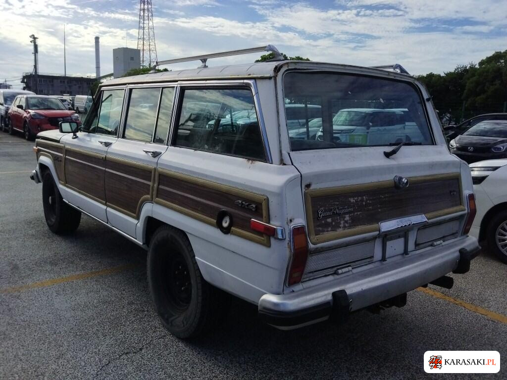 Chrysler Jeep Jeep Grand Wagoneer 2004 z aukcji japońskiej