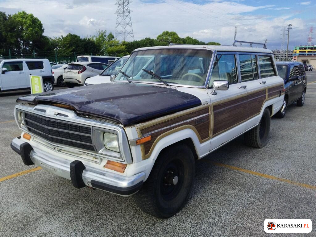 Chrysler Jeep Jeep Grand Wagoneer 2004 z aukcji japońskiej