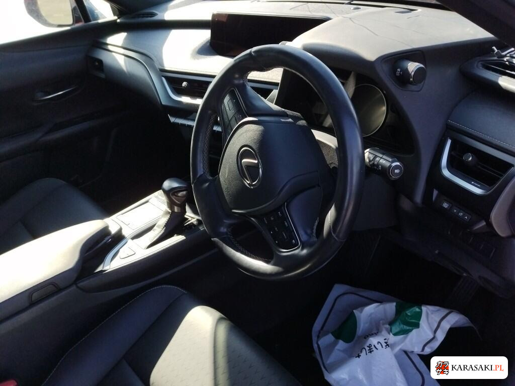 Lexus Ux 2019 z aukcji japońskiej