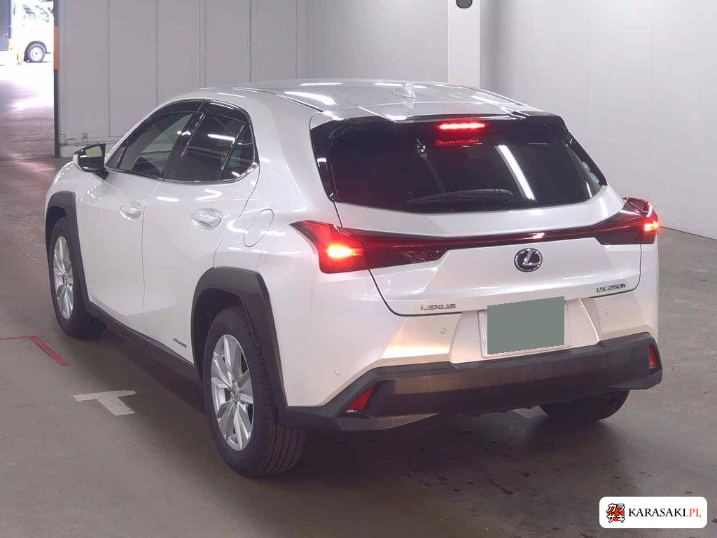 Lexus Ux 2019 z aukcji japońskiej