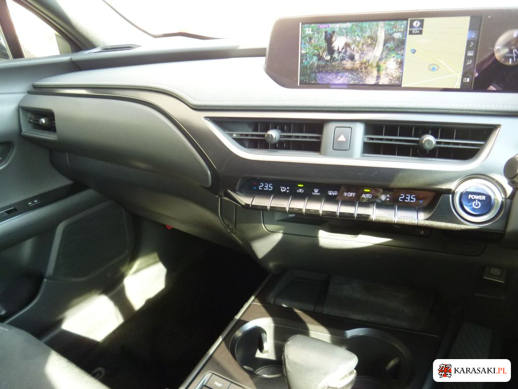 Lexus Ux 2019 z aukcji japońskiej