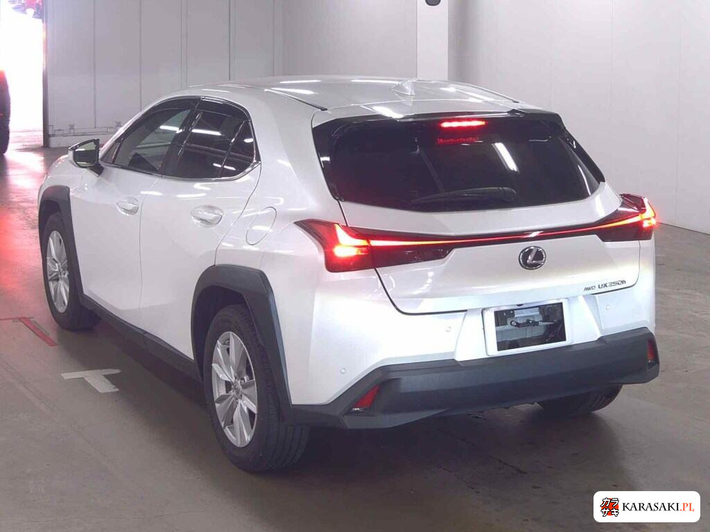Lexus Ux 2023 z aukcji japońskiej