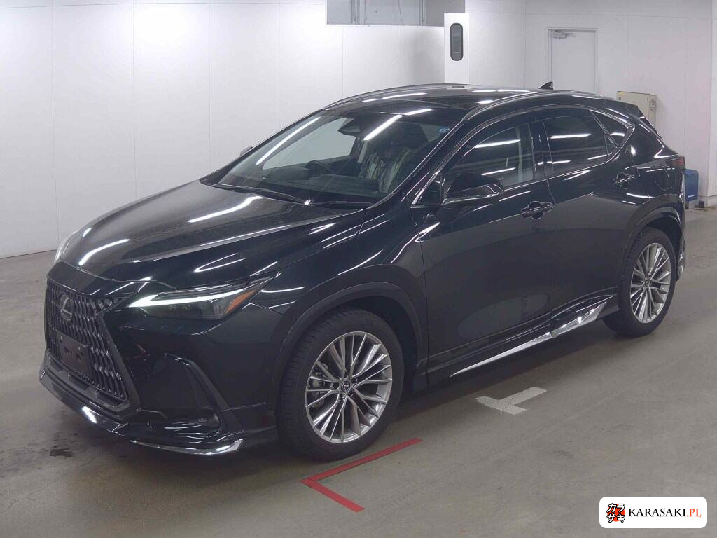 Lexus NX 2025 z aukcji japońskiej