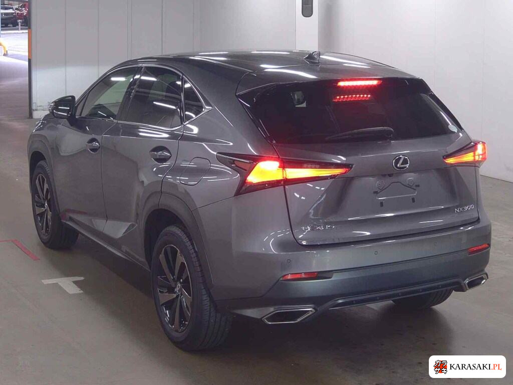 Lexus NX 2019 z aukcji japońskiej