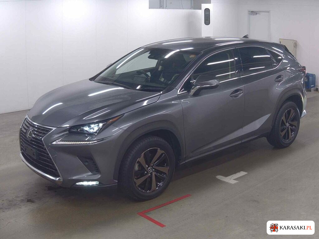 Lexus NX 2019 z aukcji japońskiej