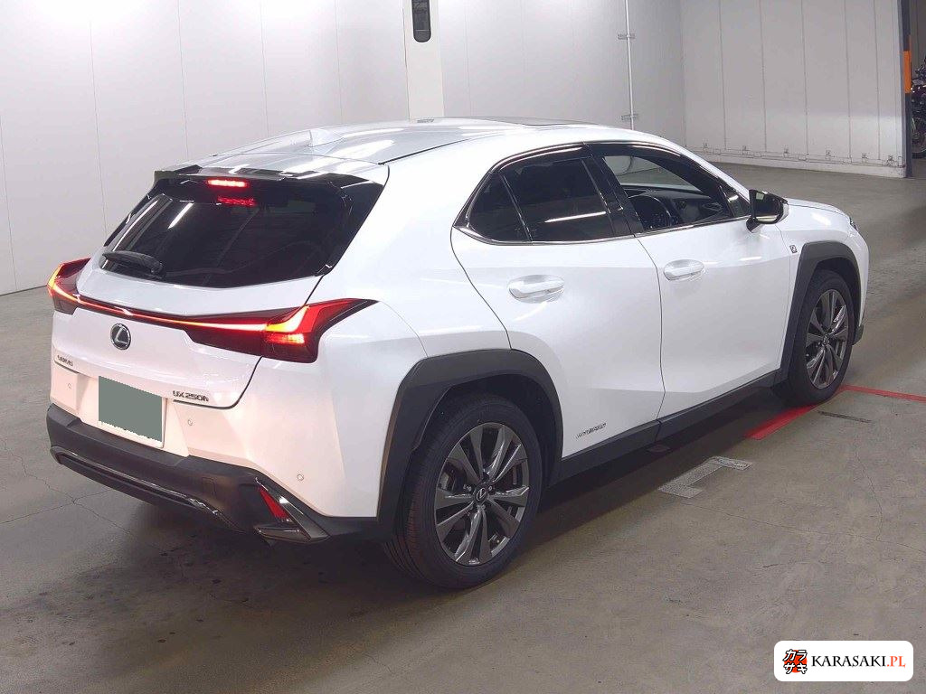 Lexus Ux 2021 z aukcji japońskiej