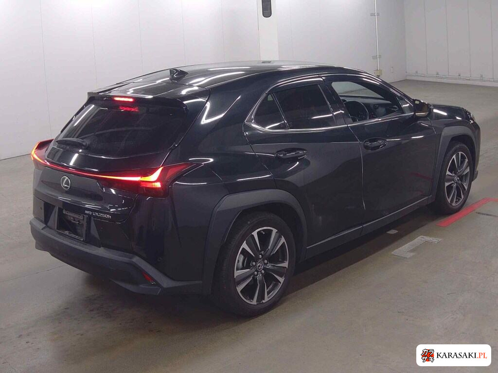 Lexus Ux 2023 z aukcji japońskiej