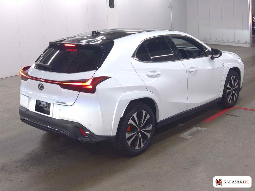 Lexus Ux 2023 z aukcji japońskiej