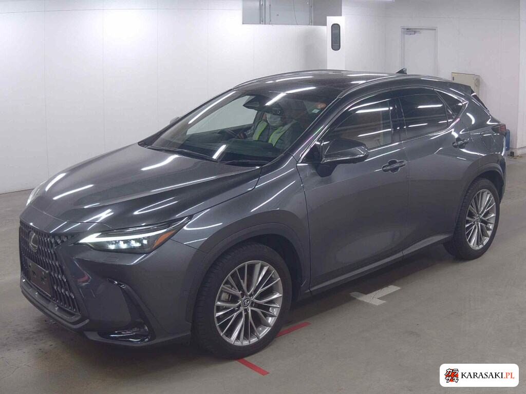 Lexus NX 2023 z aukcji japońskiej