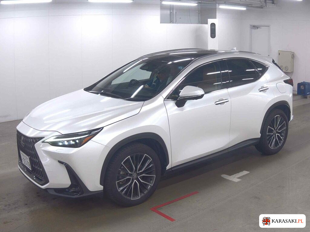 Lexus NX 2023 z aukcji japońskiej