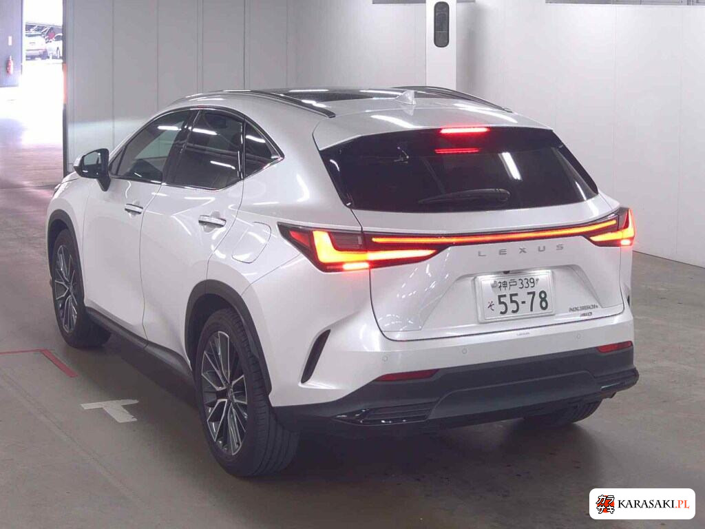 Lexus NX 2023 z aukcji japońskiej